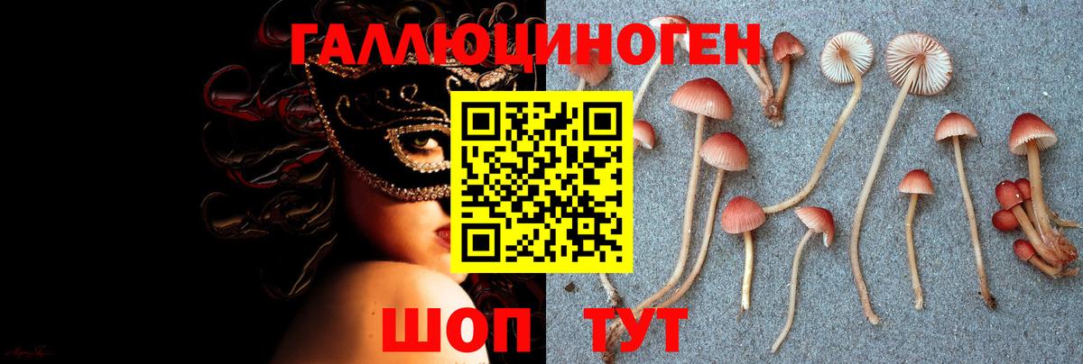 Меф кристаллы  Новороссийск  Каннабис  LSD-25  ГАШИШ  Вход с VPN  COCAIN 