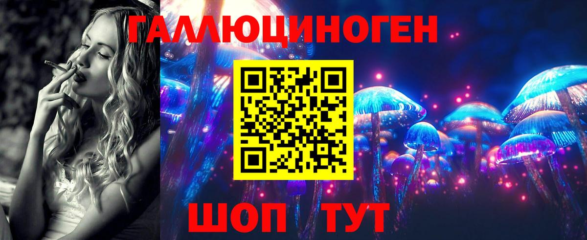 Псилоцибиновые грибы Psilocybine cubensis  Вход с VPN  Новороссийск  Галлюциногенные грибы ЛСД 