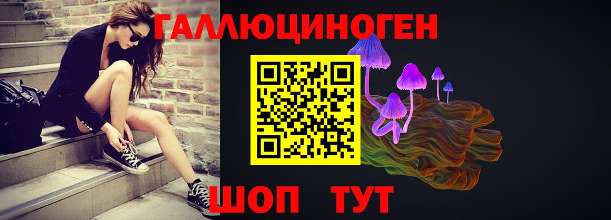 Псилоцибиновые грибы Cubensis Новороссийск